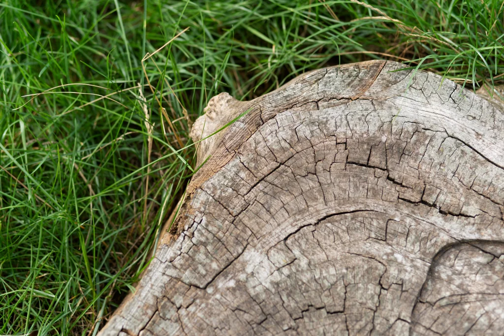 1-contrasting-outdoor-textures